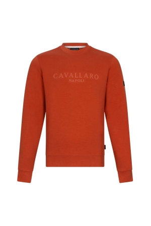 Cavallaro trui Celio