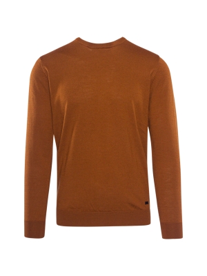 Born with Appetite pullover r-neck