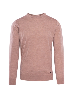 Born with Appetite pullover r-neck