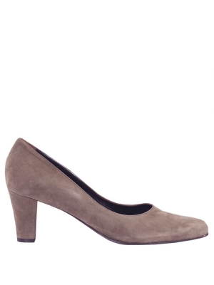 Panara pump