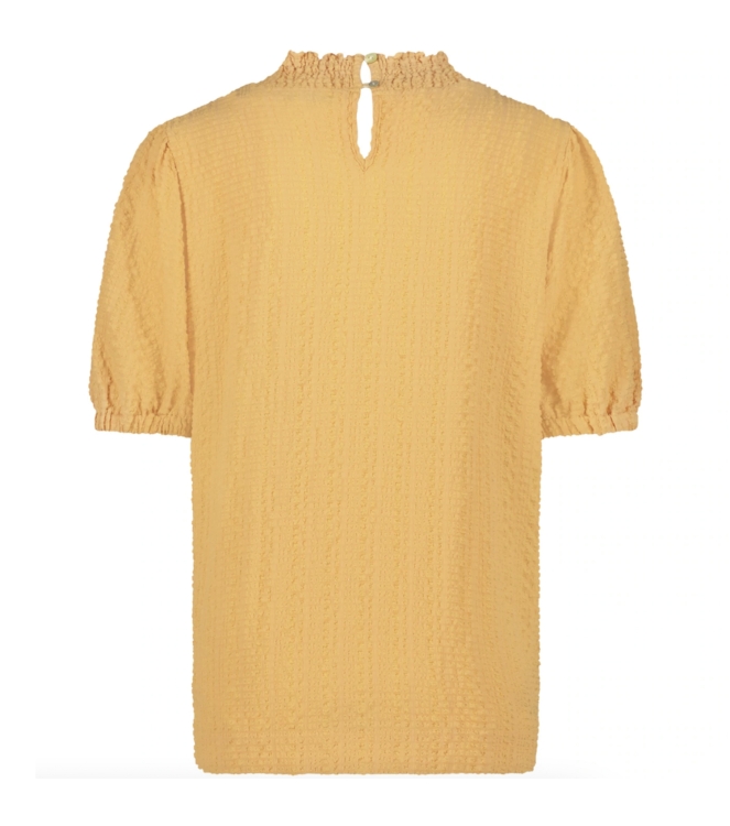 NUKUS SS2215 47 abricot