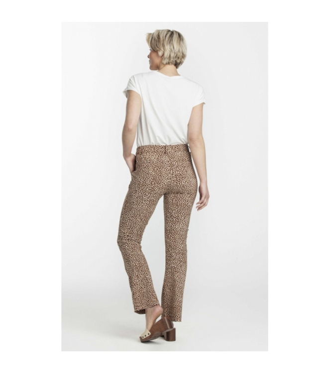 Tramontana Trousers 9992 Browns