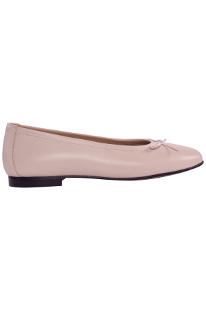 Viguera ballerina hielo