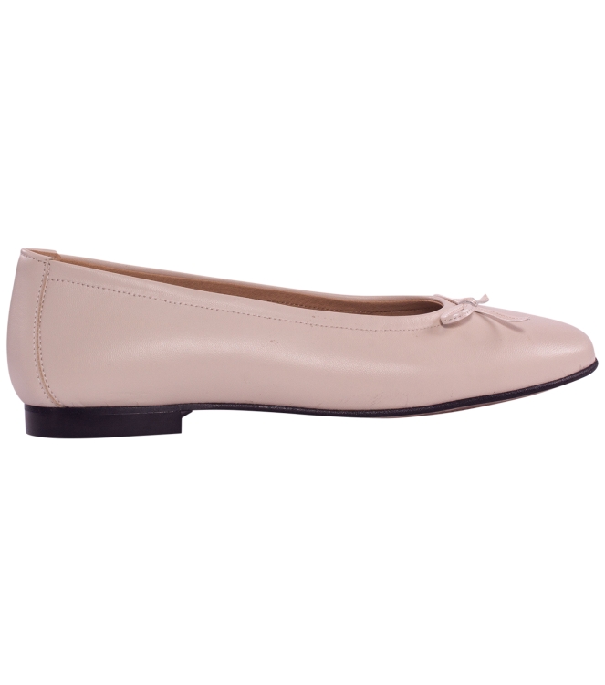 Viguera ballerina hielo