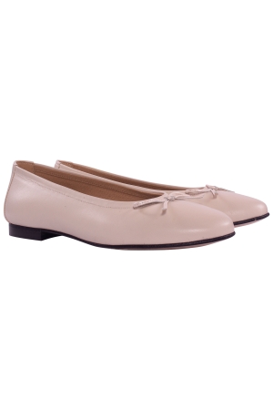 Viguera ballerina hielo