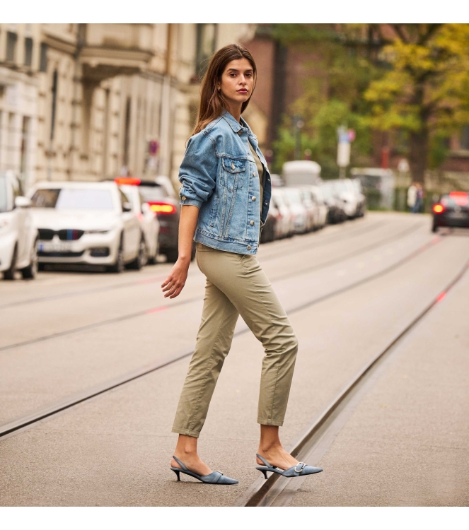 MAC CHINO 343R Dried rosemary PPt