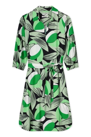 Kyra dress balloon slv modern flower print 307 fern green