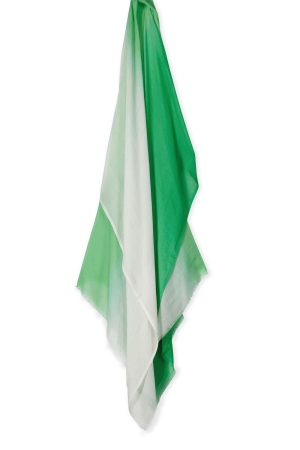 Kyra scarf 3 color dipdye modal 307 fern green