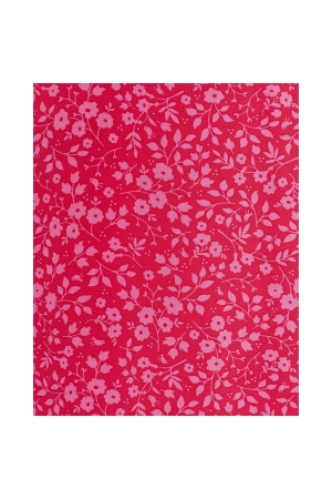 Freequent jurk Lollipop w. carmine rose