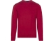 Paul and Shark  Knidded roundneck 577 rood