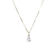 Abrazi Soraya Crystal Ketting Goud