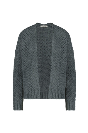 In Shape Cardigan Millie 361 Sea Green
