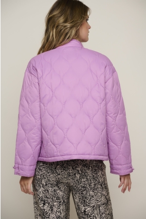 Rino en Pelle Padded jacket 5012 dahlia