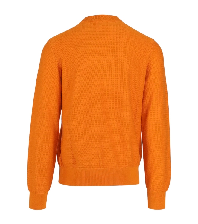 Hugo Boss Anion_S 10265864 01 890 Open orange