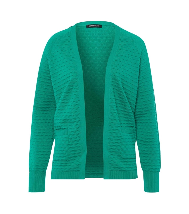 Frank Walder W42Strick 662 Blue/green