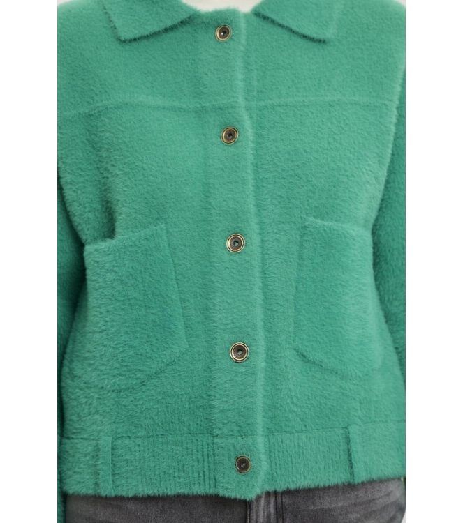 Rino en Pelle Boxy jacket 10807 clover green