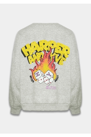 Harper and Yve ROLLTHEDICE-SW 1303 grey melee