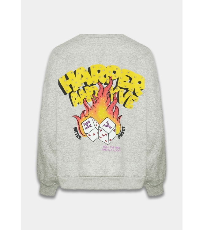 Harper and Yve ROLLTHEDICE-SW 1303 grey melee