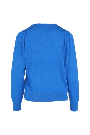 Freequent V-dot pattern Skydiver