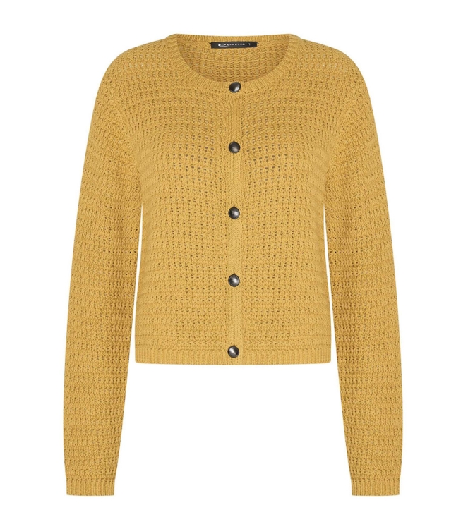 Expresso Short cardigan in a fancy stitch EX601 Sunflower