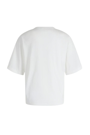 Moscow 47-04-Spray 301-1B Offwhite print