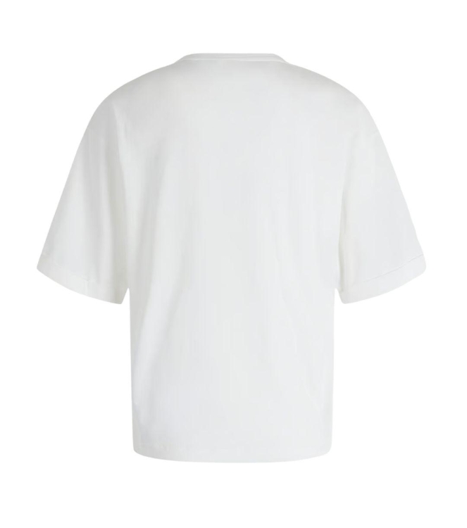 Moscow 47-04-Spray 301-1B Offwhite print