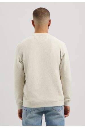 Dstrezzed Damien Crewneck 107 Silver birch