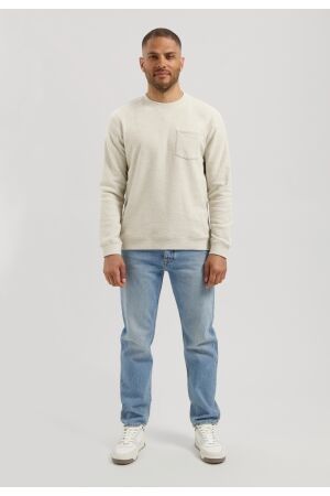 Dstrezzed Damien Crewneck 107 Silver birch
