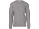 Dstrezzed Mercury Crewneck 107 Silver birch