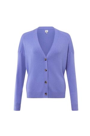 Brax STYLE.ANIQUE 8585 Violet storm