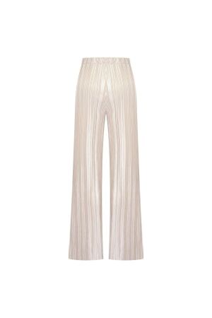 Expresso pant silver plisee EX910 Silver