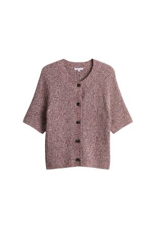 Opus Dacki cassis