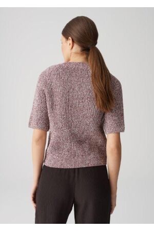 Opus Dacki cassis