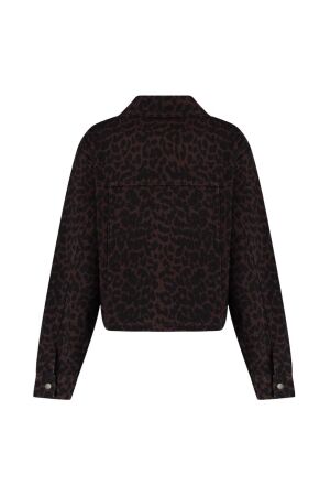 Harper and Yve WALLY-JA 1258 dark lexie-leopard