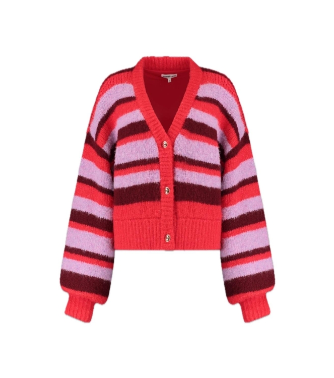 Harper and Yve NOOR-CA 1263 stripe multi  lila love