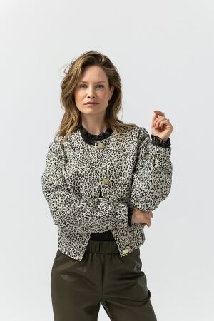 Label Dot Debora 999 multi