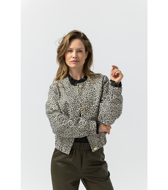 Label Dot Debora 999 multi