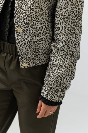 Label Dot Debora 999 multi