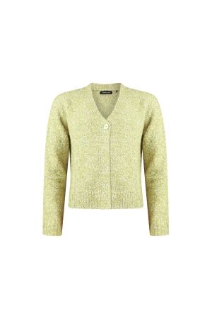 Sarto Fashion Cardigan v-neck p614 green oasis