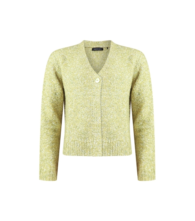 Sarto Fashion Cardigan v-neck p614 green oasis