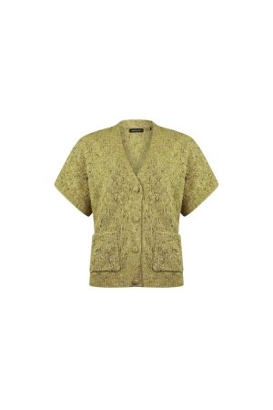 Sarto Fashion Cardigan v-neck p614 green oasis