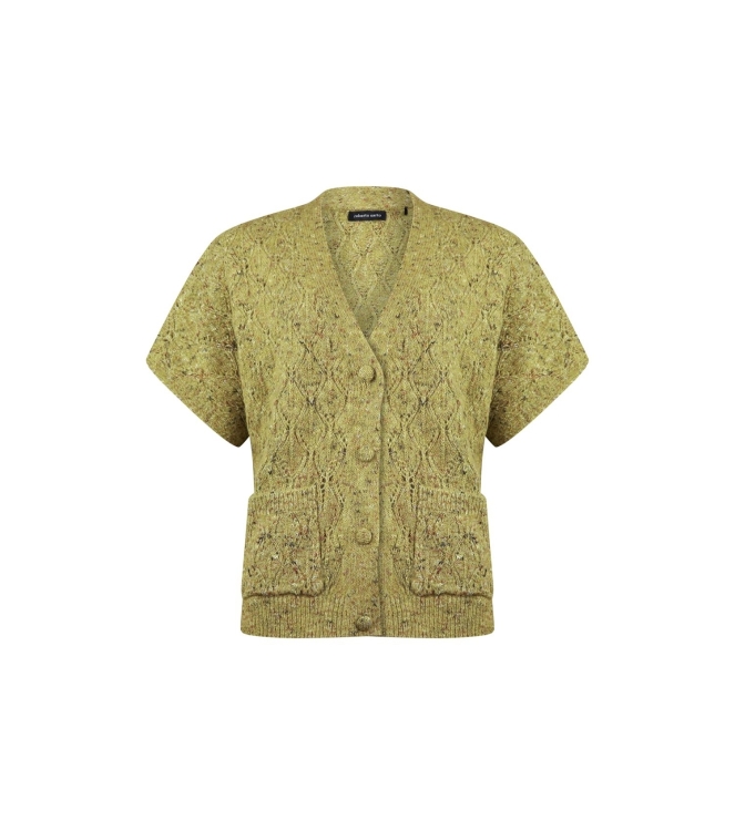 Sarto Fashion Cardigan v-neck p614 green oasis