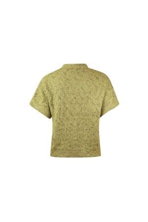 Sarto Fashion Cardigan v-neck p614 green oasis