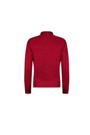 Sarto Fashion Pullover turtle p249 scarlet