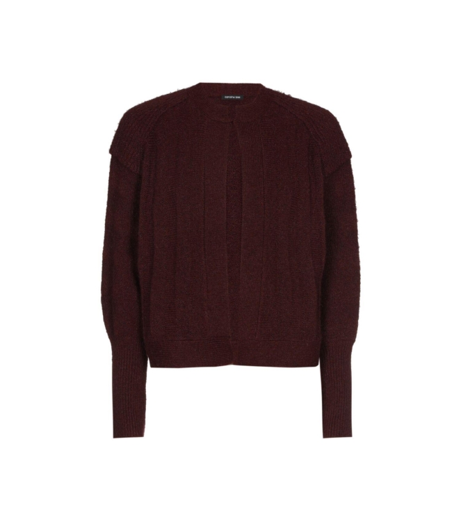 Caroline Biss Bolero geribt vleermuismouw 54 Plum