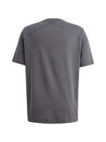 Cast Iron Short sleeve r-neck regular fit in 5277 Grisaille