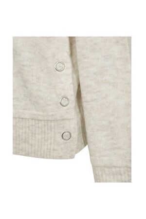 Freequent Rollneck button detail Moonbeam melange