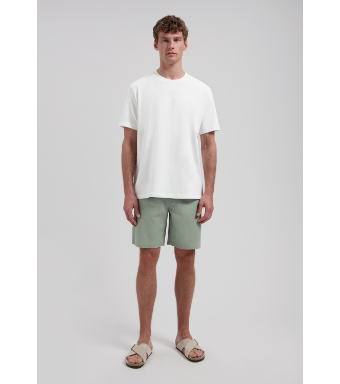 Dstrezzed Logan Beach Shorts 564 Green shadow