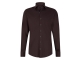 Cavallaro Piquo Shirt 899000 Dark brown