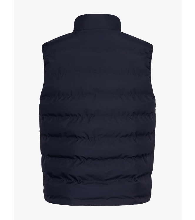 Cavallaro Cesario Bodywarmer 699000 Dark blue